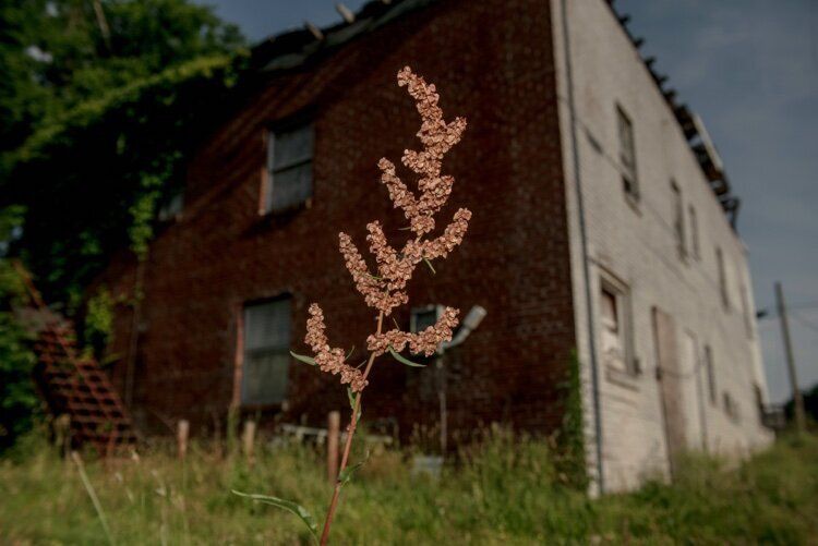 ProtectAquifer's tweet photo. HAVE YOU HEARD?! 📰 The Economic Development Growth Engine (EDGE Board) for Memphis and Shelby County is receiving $1 MILLION in federal funding to clean contaminated commercial sites. 💰🧹🏙 https://t.co/v4tnuEYFYR
