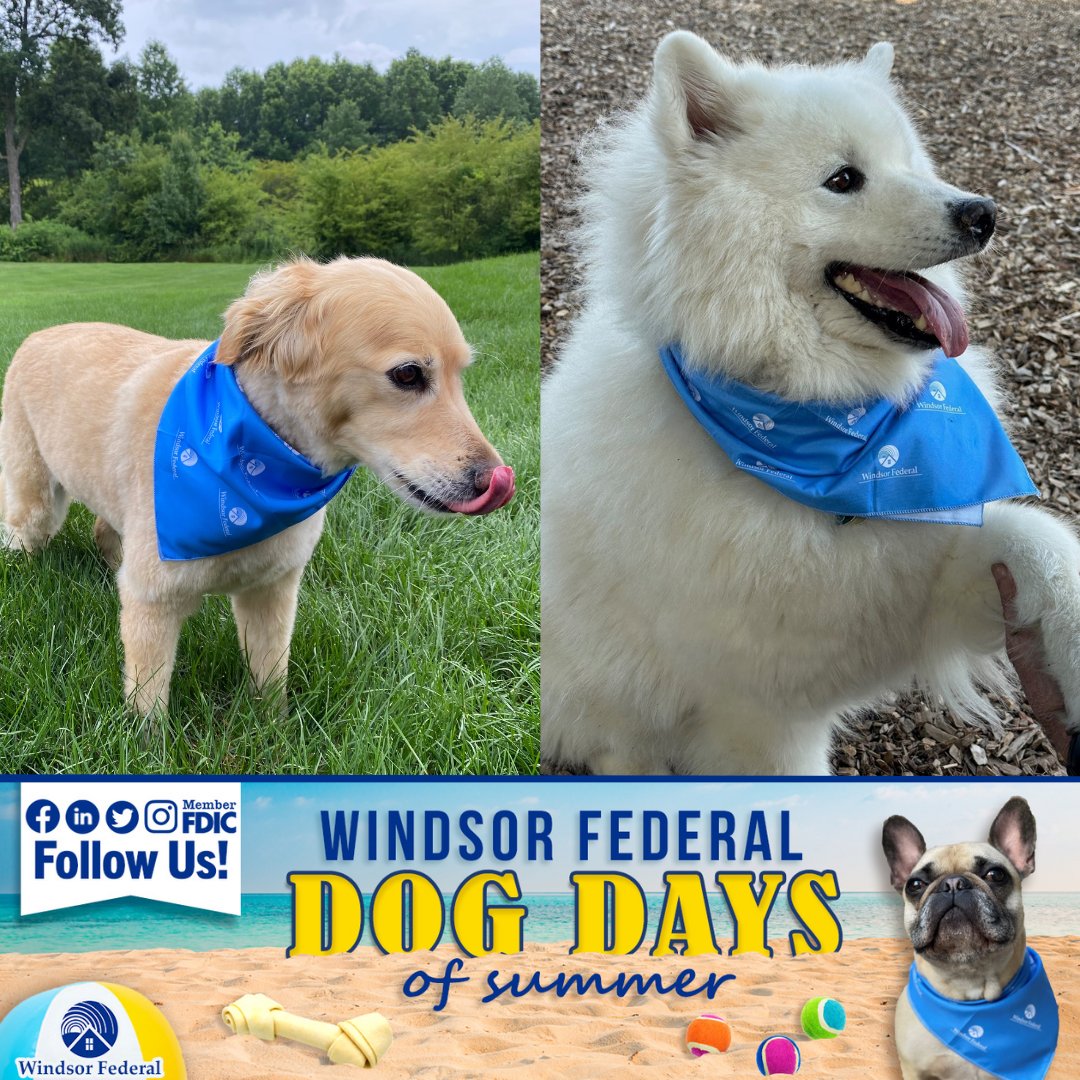 WindsorFederal tweet picture