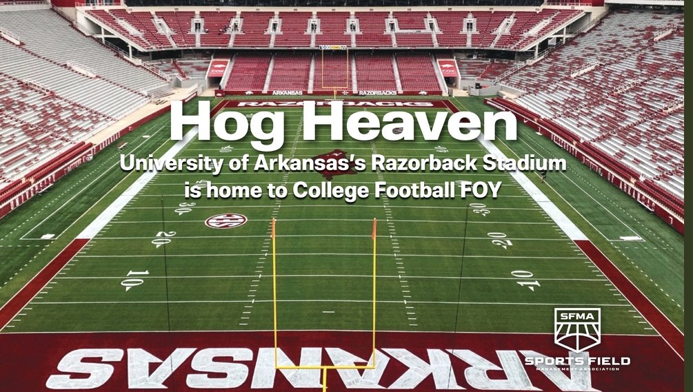 Wooo Pig Sooie! #RAZORBACKS STADIUM NAMED SFMA COLLEGE FIELD OF THE YEAR! Jeff Foor, field manager, says “It’s a testament to Tahoma 31 Bermudagrass and its ability to bounce back from wear and tear.' 🏈⁠ tinyurl.com/427hn8y7 #Tahoma31 #sportsturf @fieldexperts #SFMA #turf