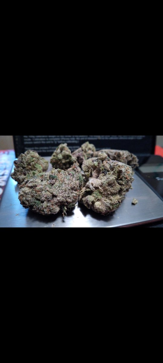 Floatin101's tweet photo. Today's #Strain review is Pina Colada. Pina Colada is FIRE! 1st hit a timeless tarty piney flavor caress your soul leaving a creamy coconut after taste in your mouth. Headhigh is very dreamy/euphoric while the bodyhigh is strong but not overwhelming #Mmemberville #Weed #Marijuana https://t.co/nmPKNlo47t