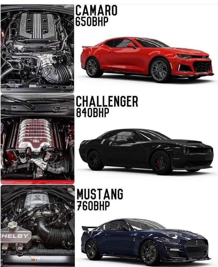 MoparChakmol's tweet photo. Top, middle or bottom? https://t.co/484H02jc6P