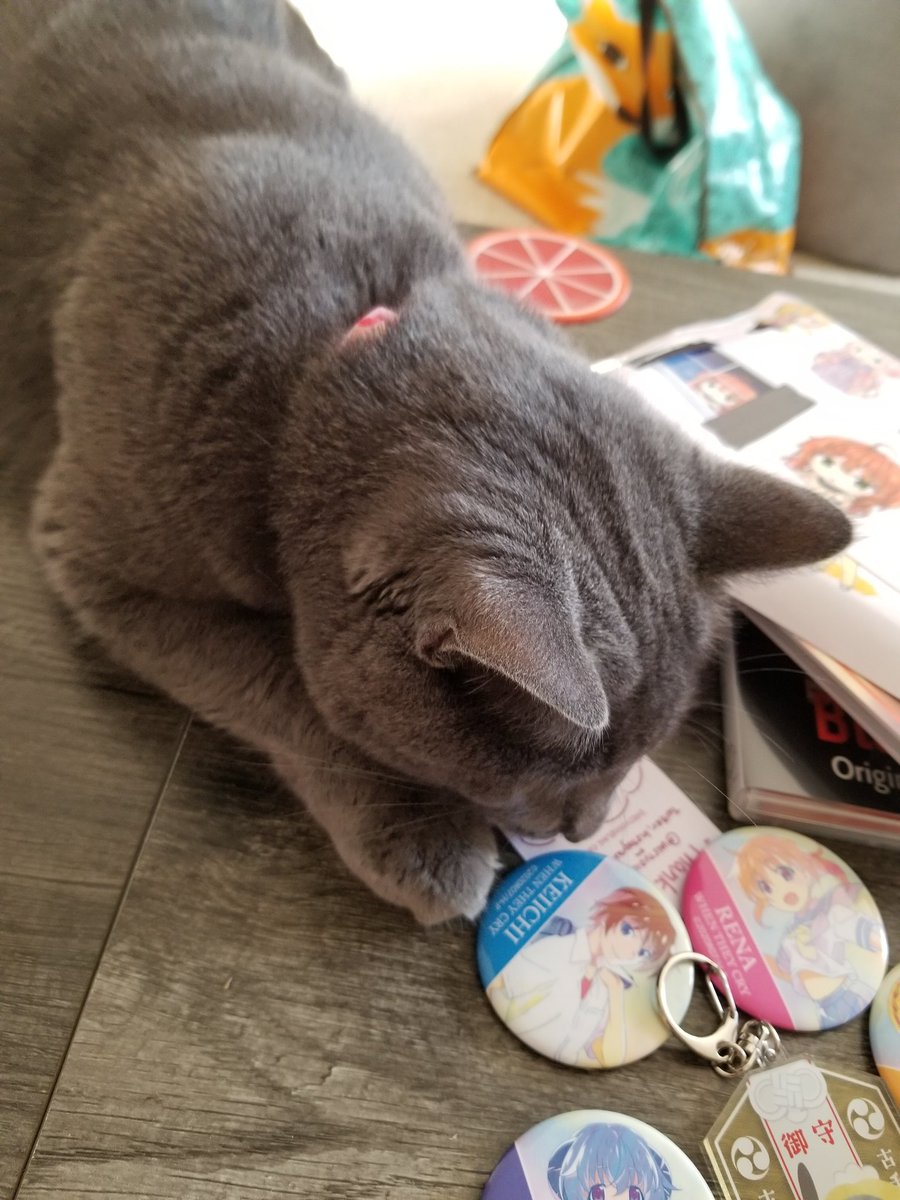 ToriaK9's tweet photo. daily headaches and today a migraine I'm suffering pic slightly related tofu is the cause of all my pain https://t.co/oYnkVVQDSj