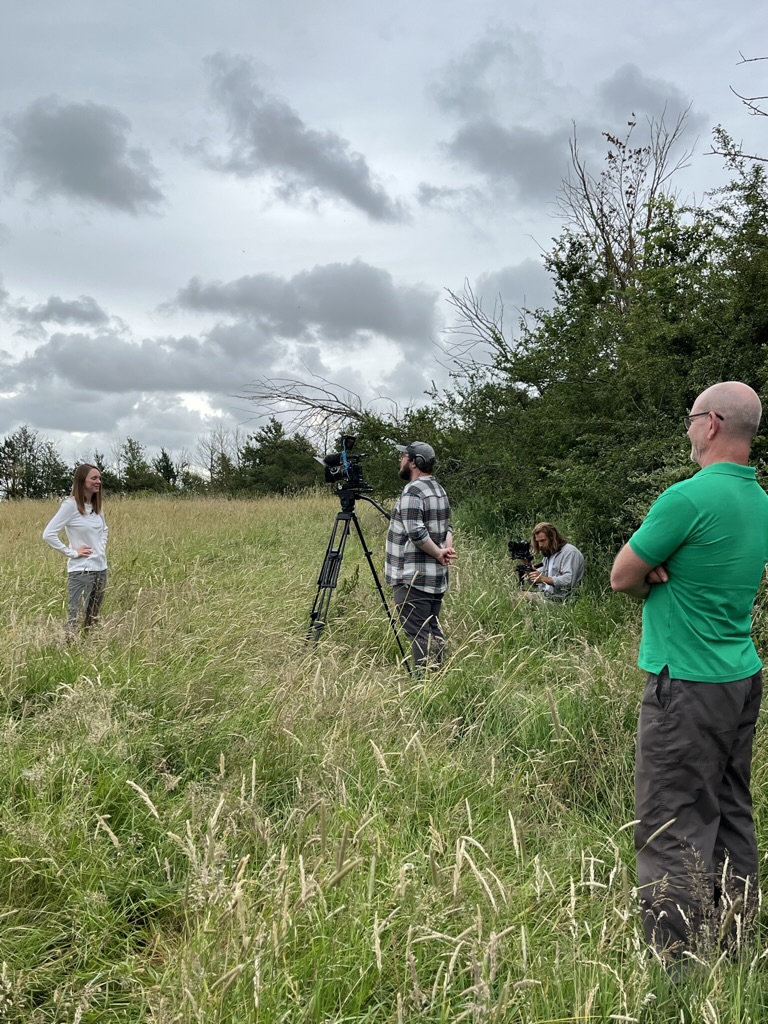 Watch our fab new film about Gibbets Close nature reserve to find out more about rewilding and research on the outskirts of Witney in the former Wychwood Forest: bit.ly/Gibbets-film  Huge thanks to Blackmore-Heal Media for doing a great job and to <a href="/CDahlsjo/">Dr Cecilia Dahlsjö</a> for starring!