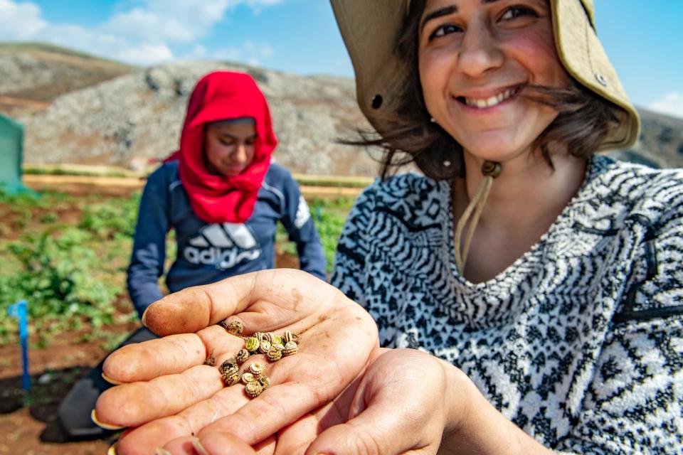 CGIAR Evidence Module Research Grants 2023 (up to $150,000)

The grants support a research project aimed at generating evidence on women’s collective action in agri-food systems.

Details: bit.ly/3YiB6i2 | Deadline: Aug 2