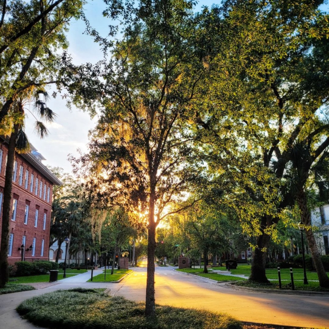 StetsonU's tweet photo. Summer mornings on campus 🌞 Can't wait to welcome our Hatters back to campus in a few weeks! https://t.co/Jacx2qBfhz