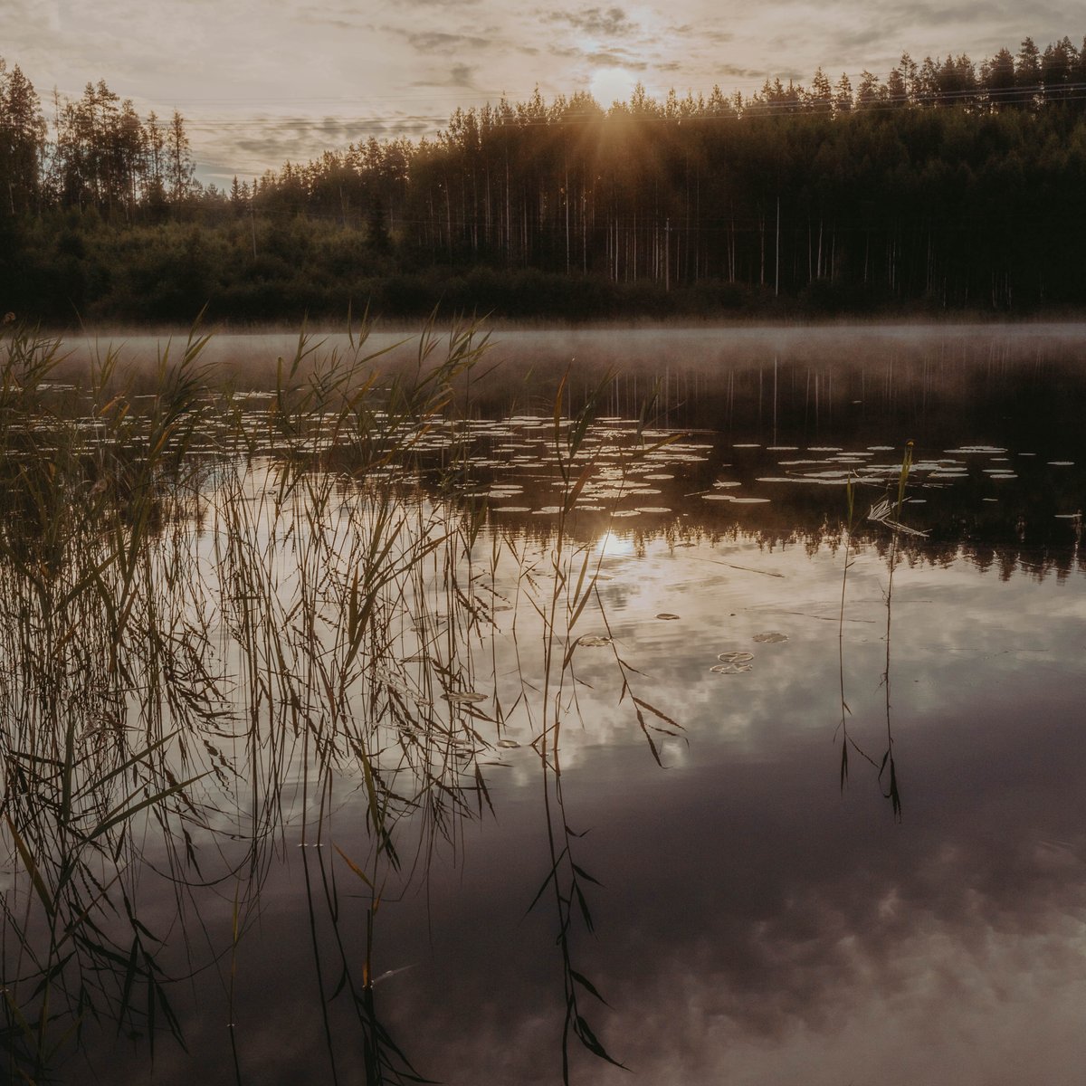 AlexanderPopkov's tweet photo. 24 hours at a Finnish lake
#Finland #suomi #outdoors https://t.co/UlPffH7OkN