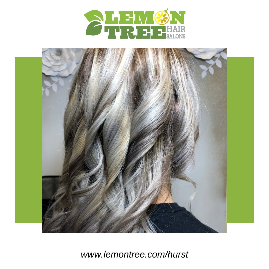 lemontreehurst's tweet photo. Your special event deserves a special look! ✨ 

Schedule your hair appointment and let our talented stylists create a show-stopping hairstyle just for you!

https://t.co/ysJwshP3AK
817-849-2400 https://t.co/p269Mj8w5z