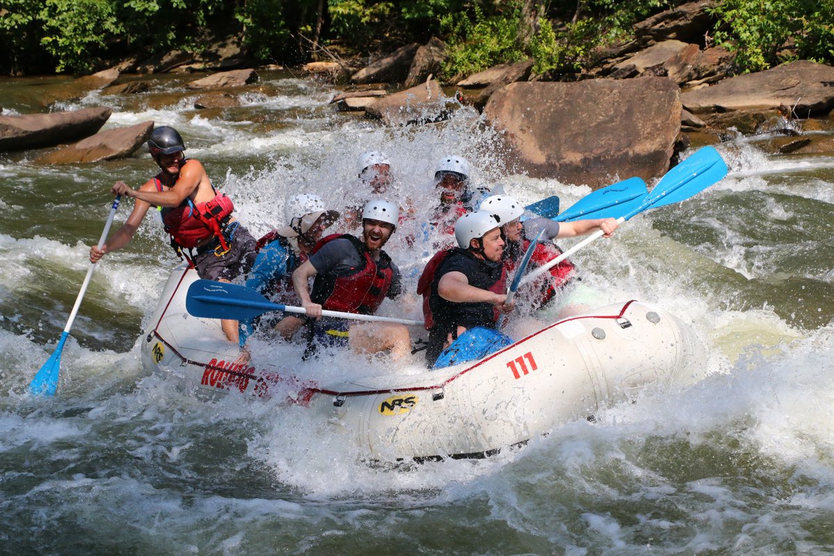 MeunierCarlinCurfman tweet media