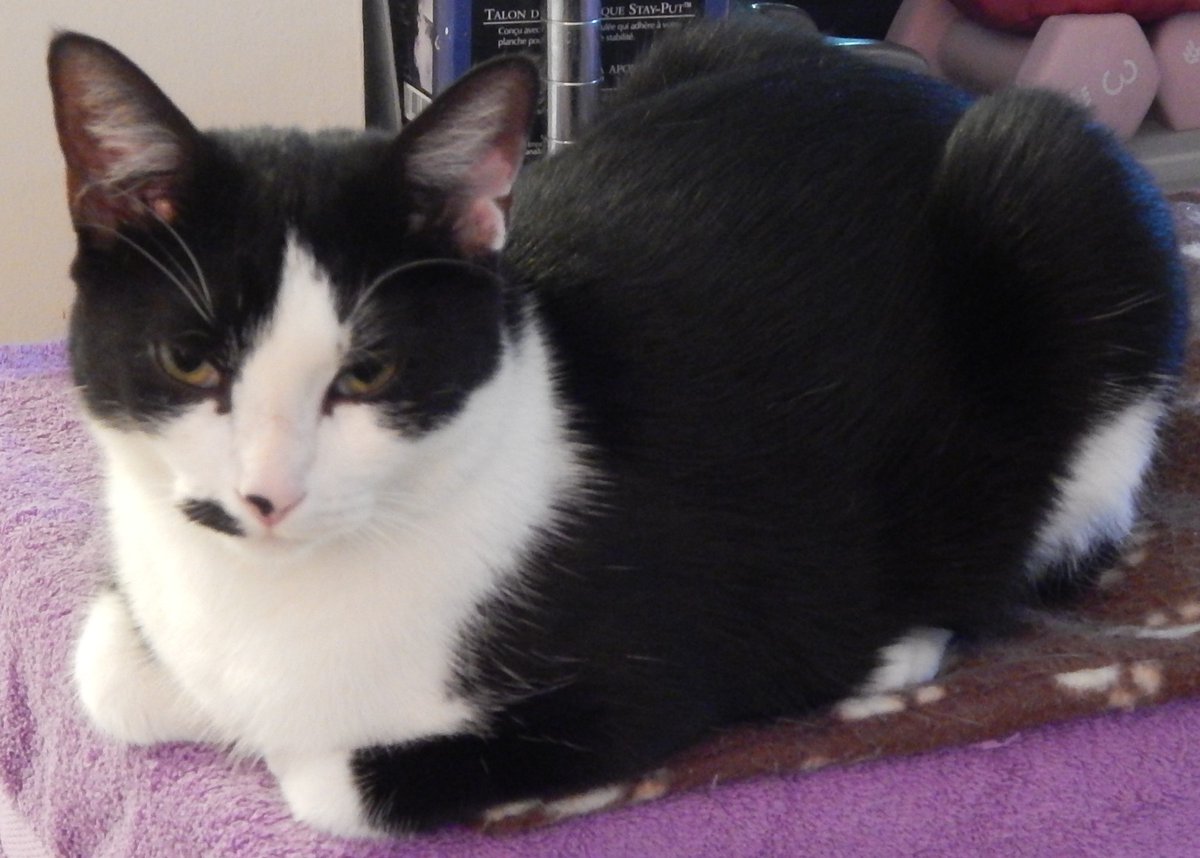 Just sitting around waiting for you.