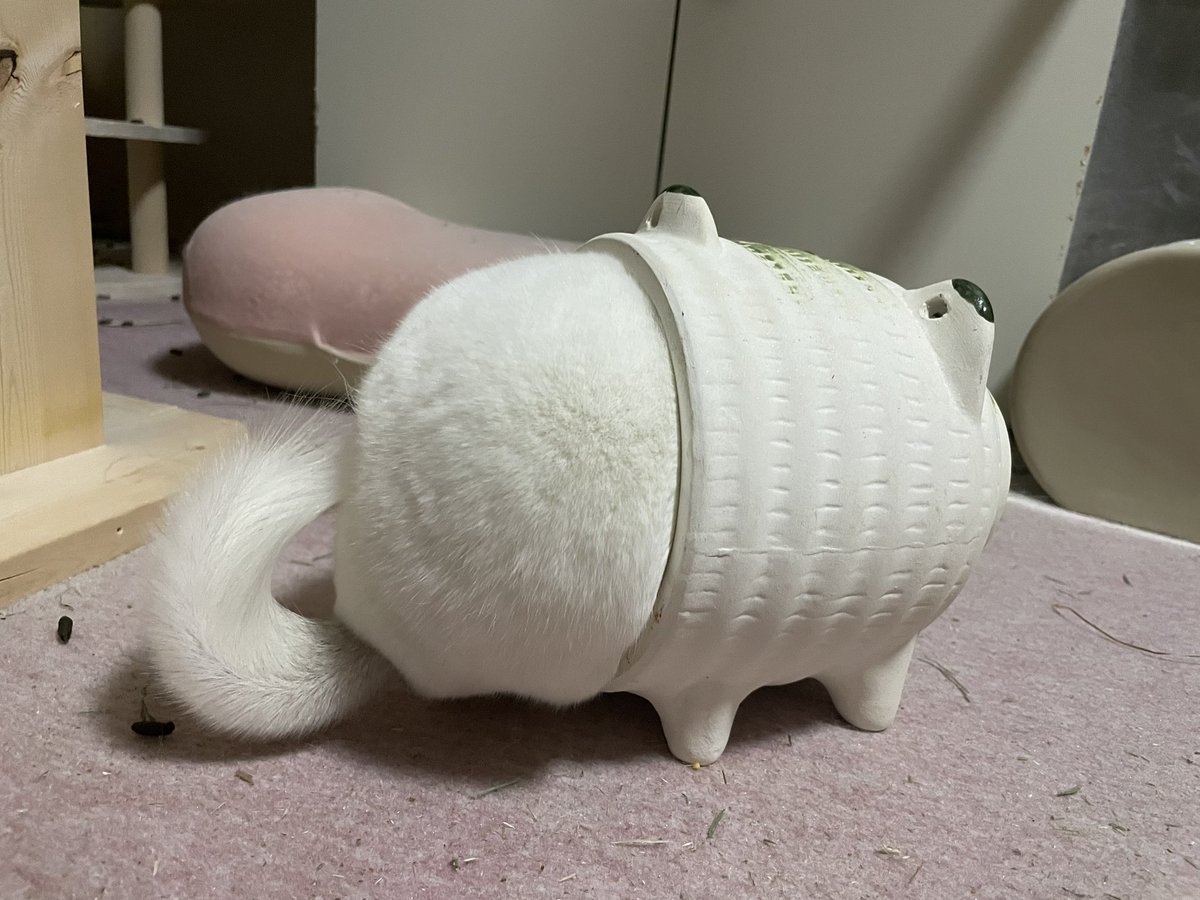 white_tsuna tweet picture