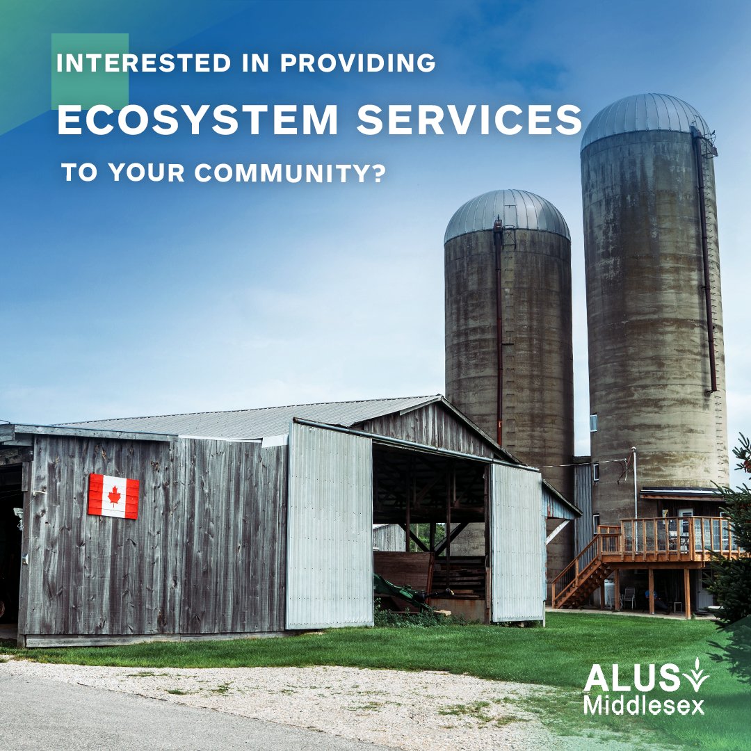 ALUSMiddlesex's tweet photo. 'Ecosystem Services' - This term refers to the countless benefits we receive from nature for free. They are the very foundation of life on our planet, often unsung, yet indispensable. Our participants help provide a plethora of these by converting marginal farmland into habitat! https://t.co/SUvNZ6nuaO