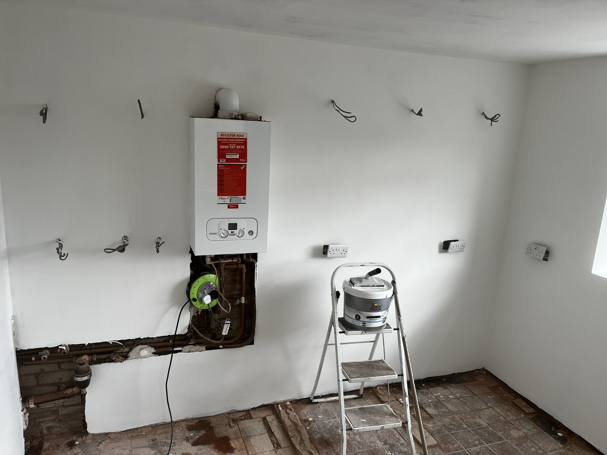 ✨Harry McCartney (She/Her) ✨ tweet media