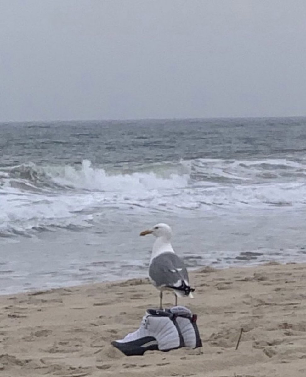 How I’ve been feeling lately