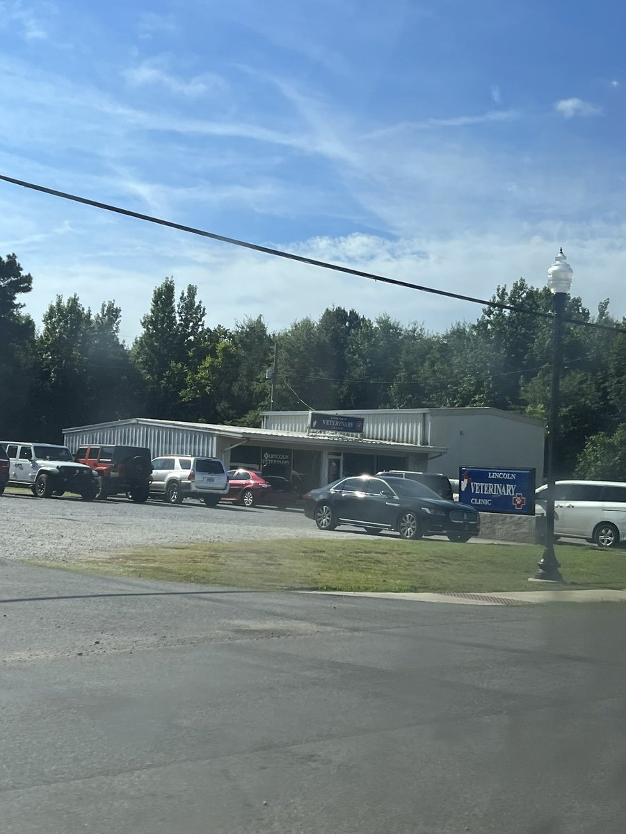 Tigue Leaders tweet media