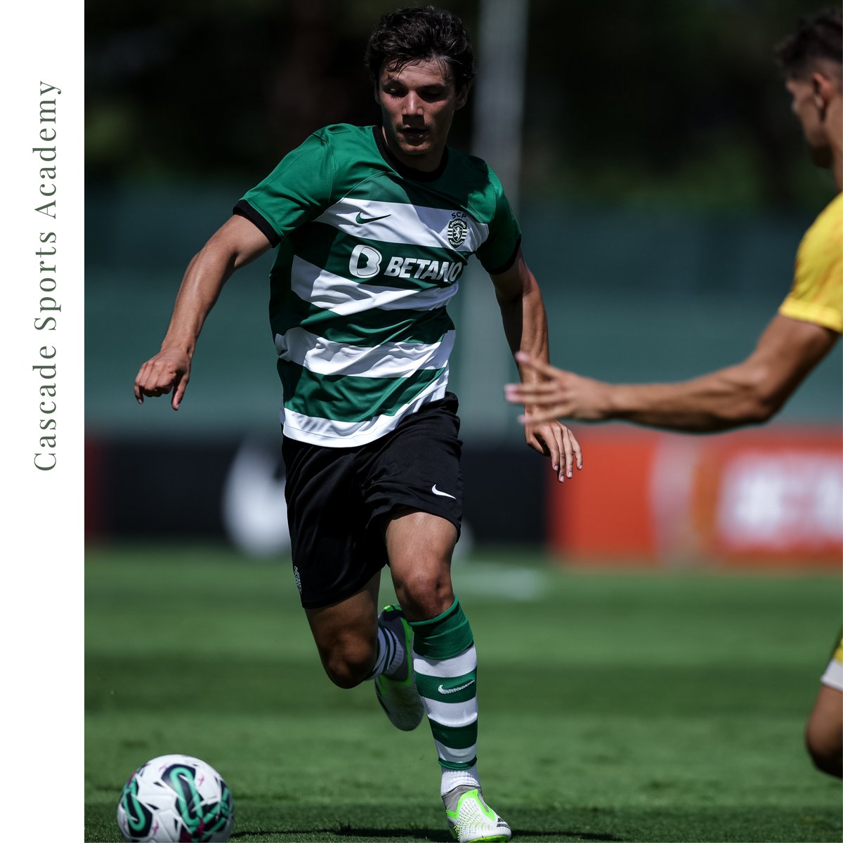CascadeResort's tweet photo. 📸One of the highlights of this year's pre-season training camp of @SportingCP at Cascade Wellness Resort. See you soon! ⚽️
📸Um dos momentos que marcaram este ano o estágio de pré-época do @SportingCP no Cascade Wellness Resort. Até breve! ⚽️ https://t.co/kV506wkwc2