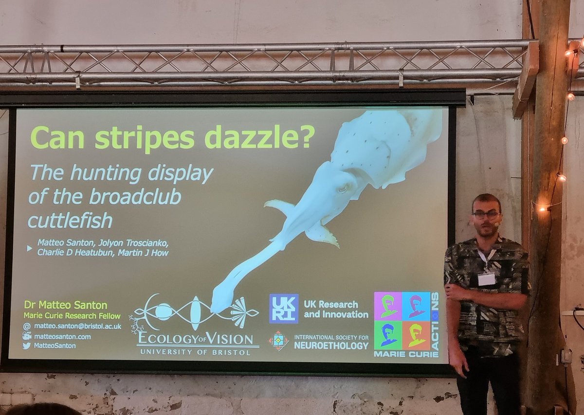 Dr Martin John How (@drmartinjohnhow) on Twitter photo <a href="/MatteoSanton/">Matteo Santon</a> telling us about the remarkable hunting behaviour of the broadclub cuttlefish at this year's ICIV! <a href="/EcologyofVision/">Ecology of Vision</a> <a href="/BristolBioSci/">University of Bristol Biological Sciences</a> <a href="/MatteoSanton/">Matteo Santon</a> telling us about the remarkable hunting behaviour of the broadclub cuttlefish at this year's ICIV! <a href="/EcologyofVision/">Ecology of Vision</a> <a href="/BristolBioSci/">University of Bristol Biological Sciences</a>