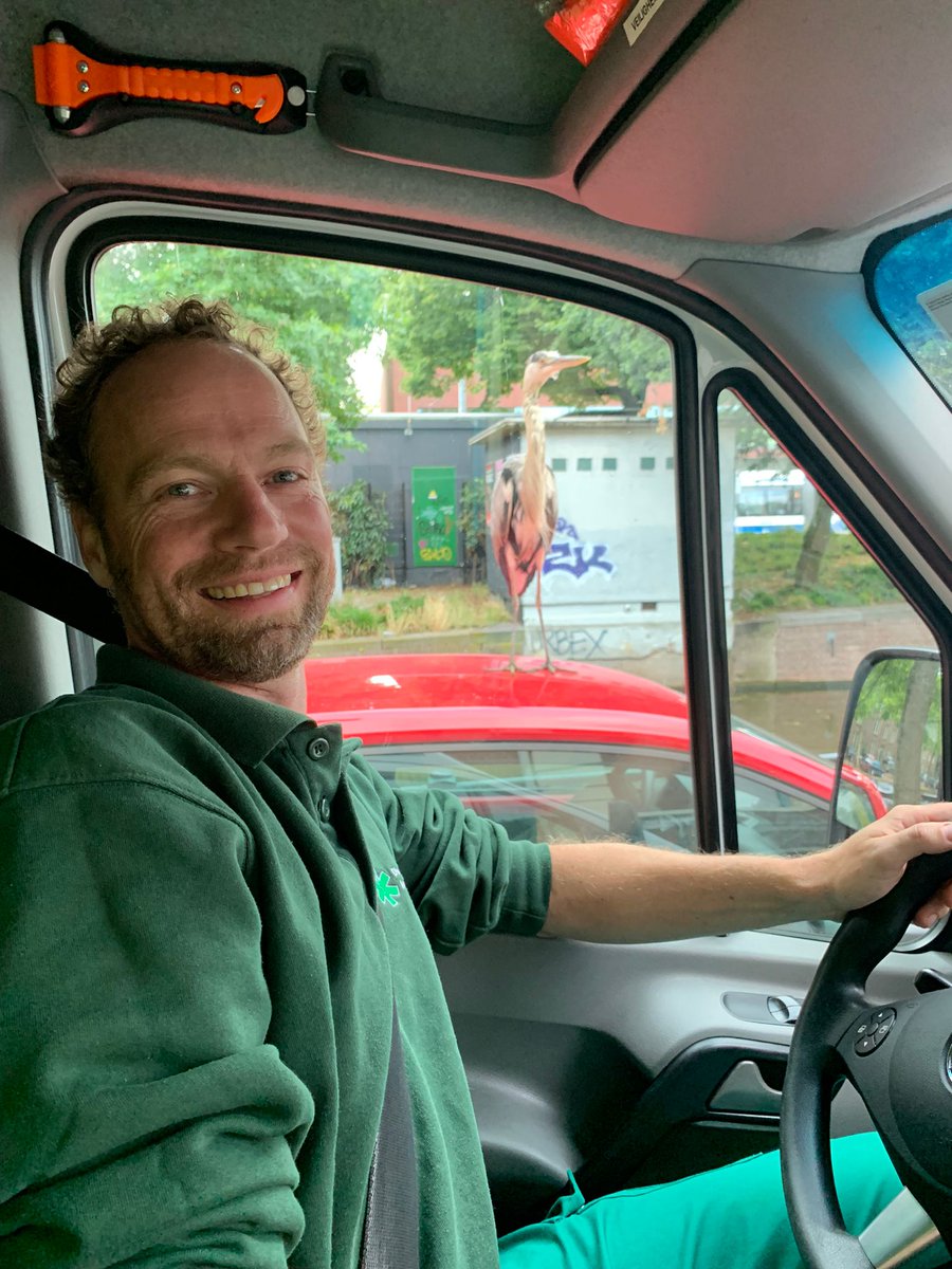 Dierenambulance Amsterdam tweet media