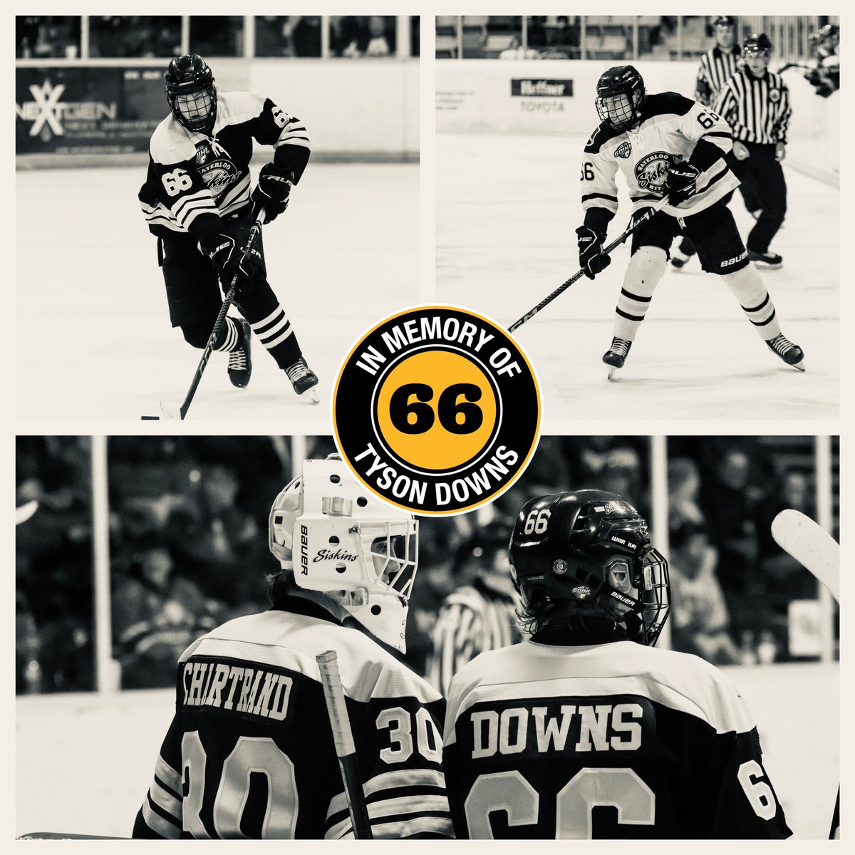 Yesterday, we said goodbye for now to Tyson, a truly cherished soul. The outpouring of heartwarming stories is a testament to the impact he had on so many lives. May his memory forever reside in our hearts. Rest in peace, Tyson. 2004-2023🕊️ #SiskinForever #RememberingTyson