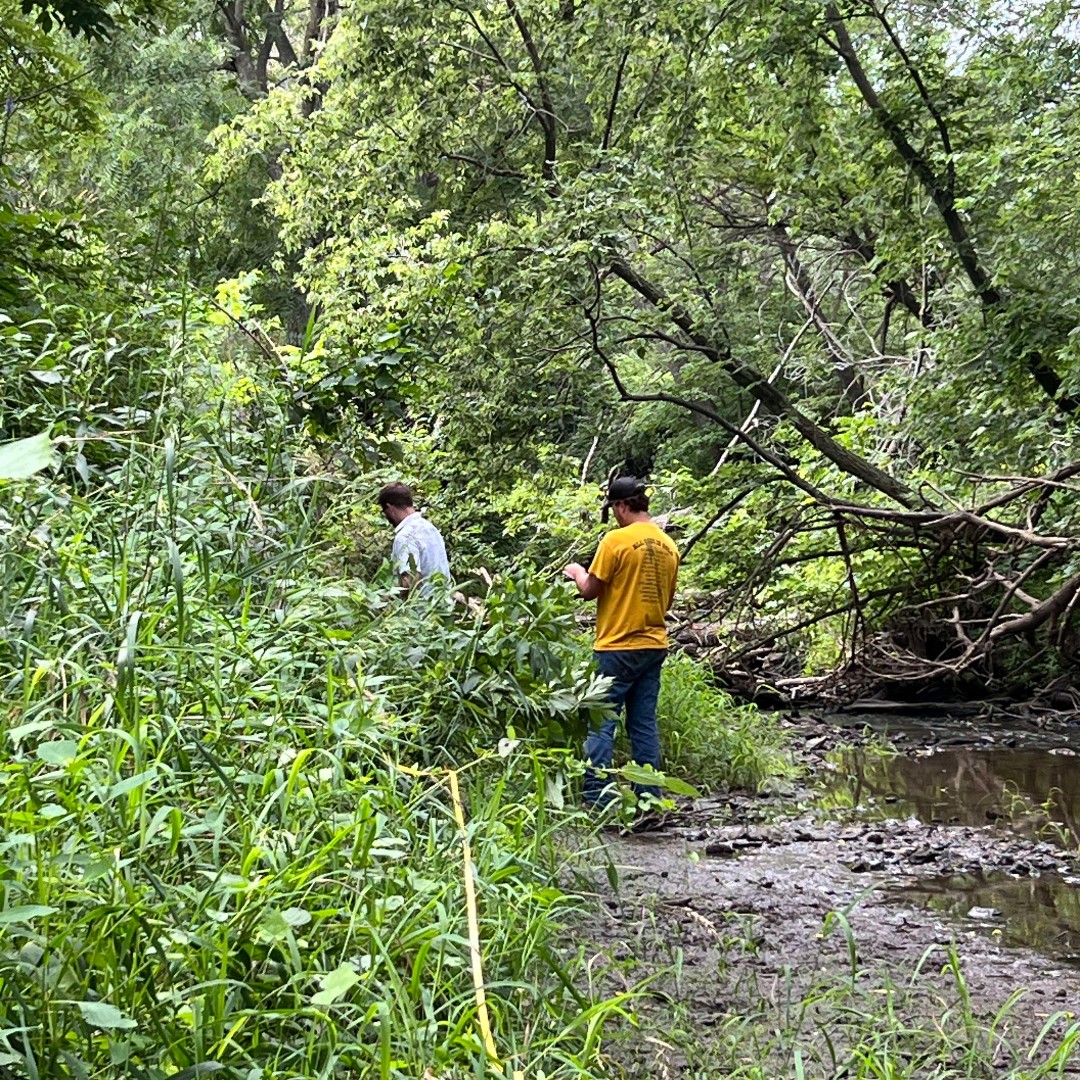 SEPSchools's tweet photo. Our ELC provides amazingly unique opportunities for our students & teachers! At this week's summer workshop, teachers are getting their hands dirty learning about the Camp Creek watershed, prairie, birds & pond life! Thanks @MetroWaste & @DrakeUniversity for your partnerships! https://t.co/gedcFZfMKZ