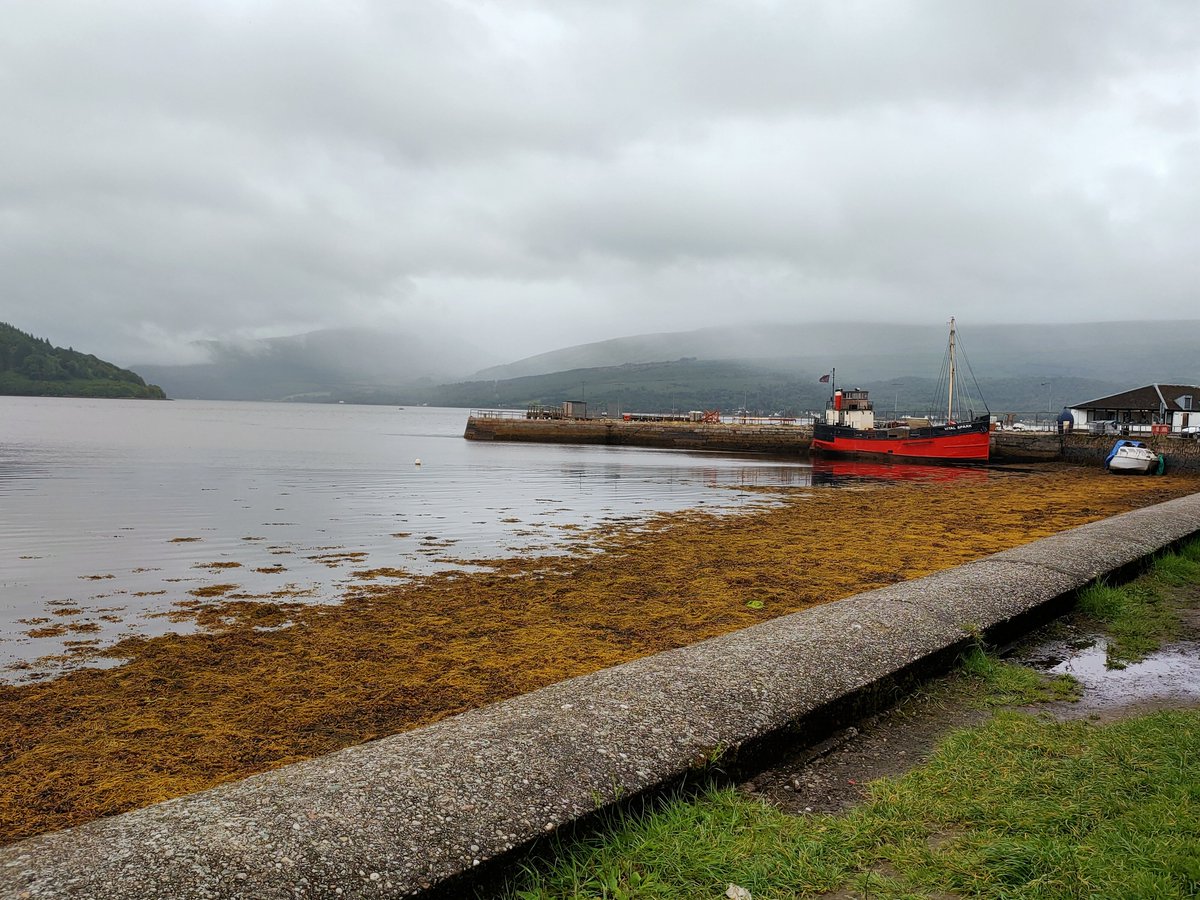 Jack March Photography📸 tweet media