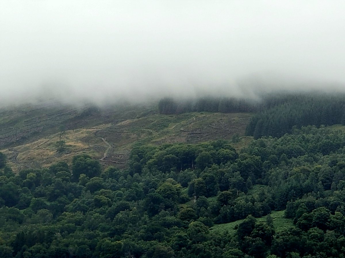 Jack March Photography📸 tweet media