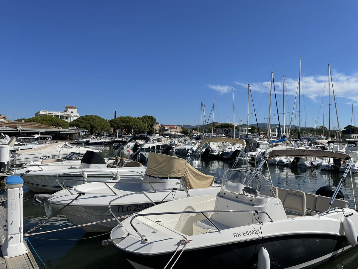 Jérôme 🦇 🇫🇷🇪🇸🇪🇺 tweet media