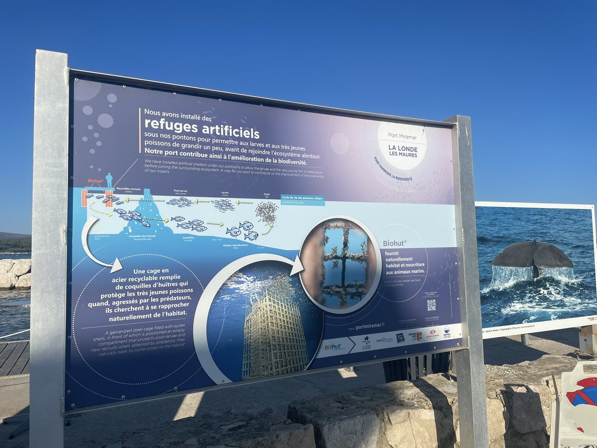 Jérôme 🦇 🇫🇷🇪🇸🇪🇺 tweet media