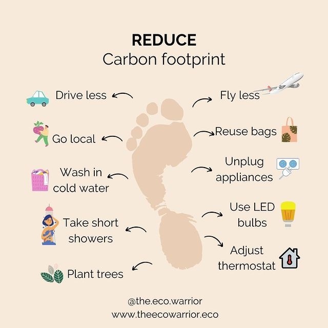 Easy ways to reduce your carbon footprint. How many of them do you already practice? 🥰💚

Read more : ecofriendlyfact.com

#nowasteliving
#goingzerowaste
#zerowastelife
#wastefree
#ditchplastic
#zerowasteliving
#zerowastehome
#lessplastic
#lifewithoutplastic