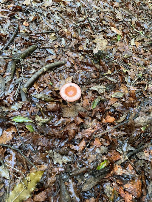 Encontr&eacute; los https://t.co/7ou7f1olKF