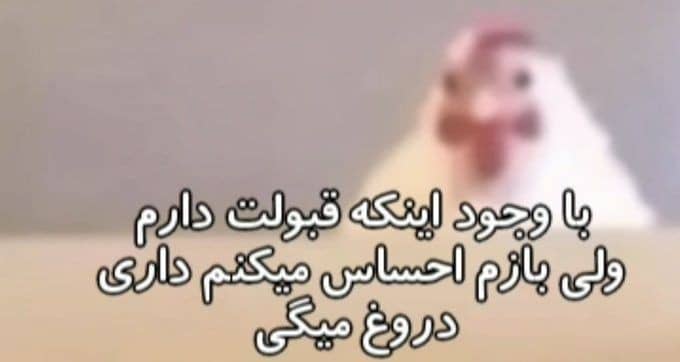 KamiGTR فالو کنید به همه بک میدم tweet media