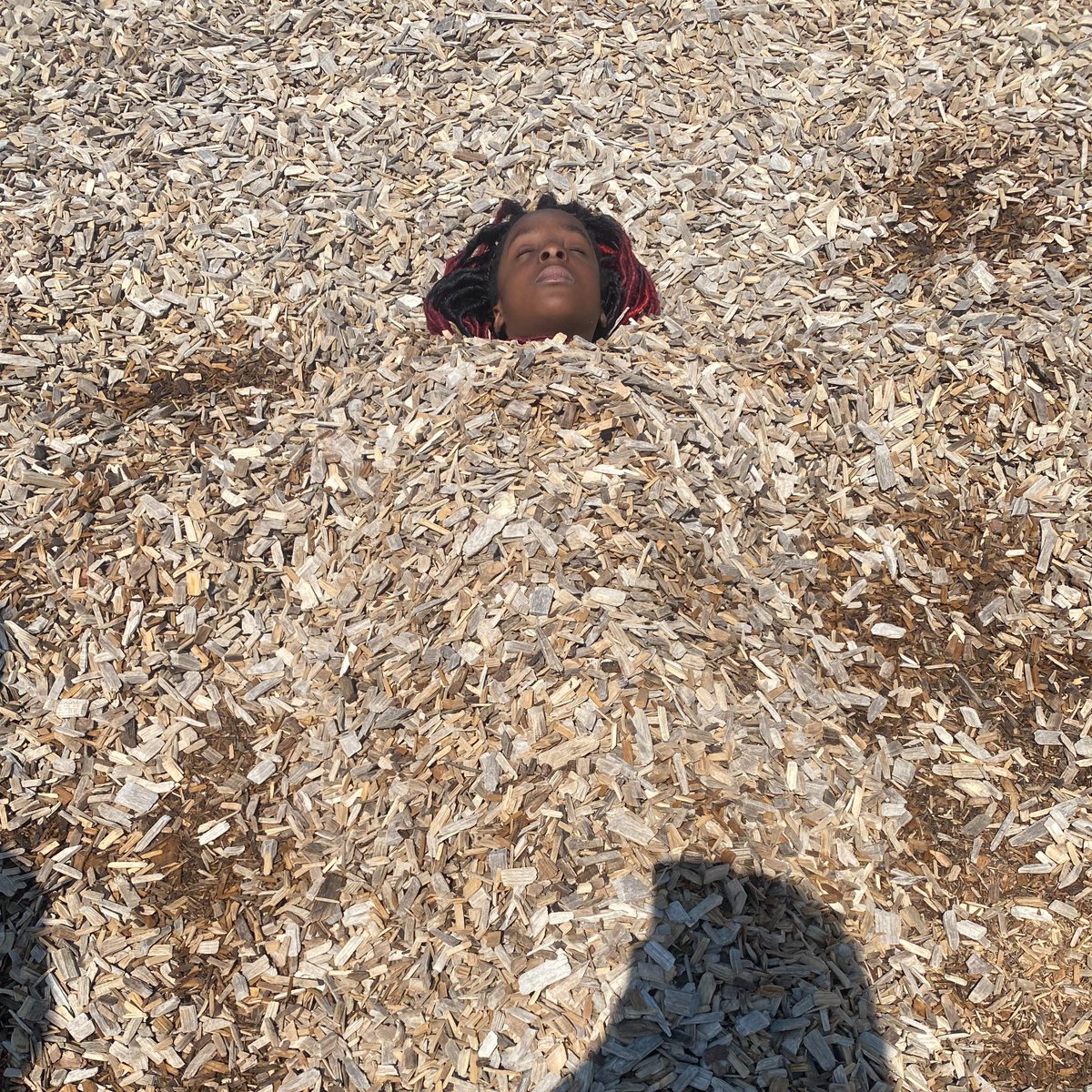firgrove's tweet photo. #Week3 The kids had some fun this morning at the park and decided they wanted to burry eachother!

Saty tuned for more updates as we will be going Oakdale Swimming pool and High Park this week! https://t.co/7vxY65yjM5