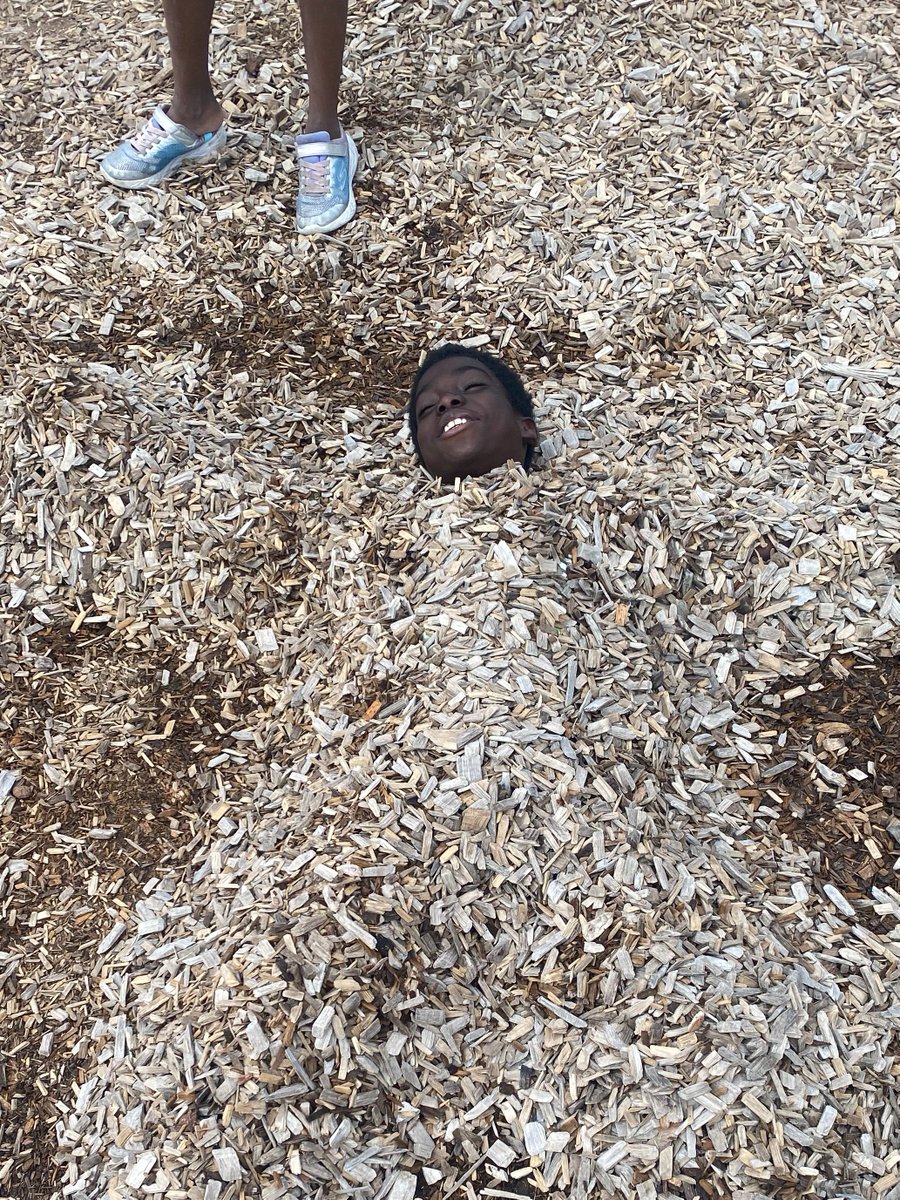 firgrove's tweet photo. #Week3 The kids had some fun this morning at the park and decided they wanted to burry eachother!

Saty tuned for more updates as we will be going Oakdale Swimming pool and High Park this week! https://t.co/7vxY65yjM5