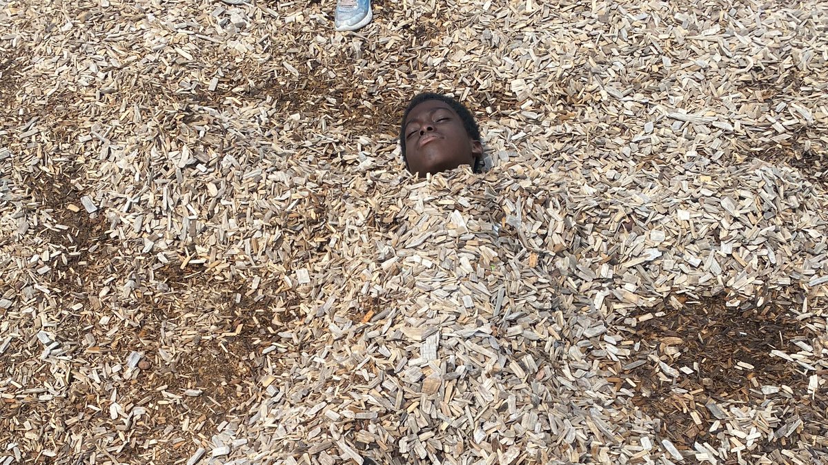 firgrove's tweet photo. #Week3 The kids had some fun this morning at the park and decided they wanted to burry eachother!

Saty tuned for more updates as we will be going Oakdale Swimming pool and High Park this week! https://t.co/7vxY65yjM5