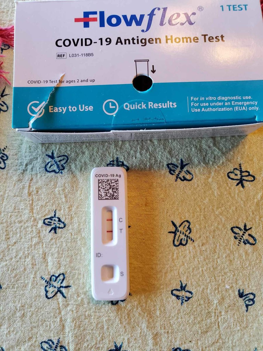 Stefan Pokorny tweet media