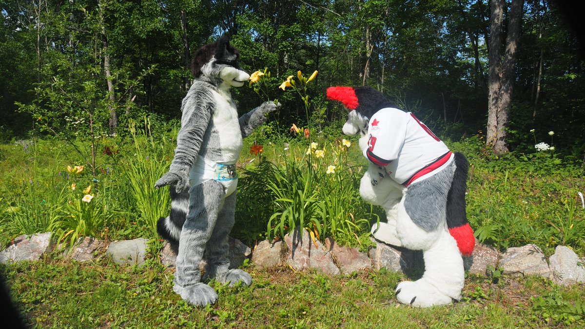 Was lots of fun at Camp FurCub this year the weather was great, and the flowers were pretty.  #Babyfur #Furrycon #Abdl #Abdlcamp