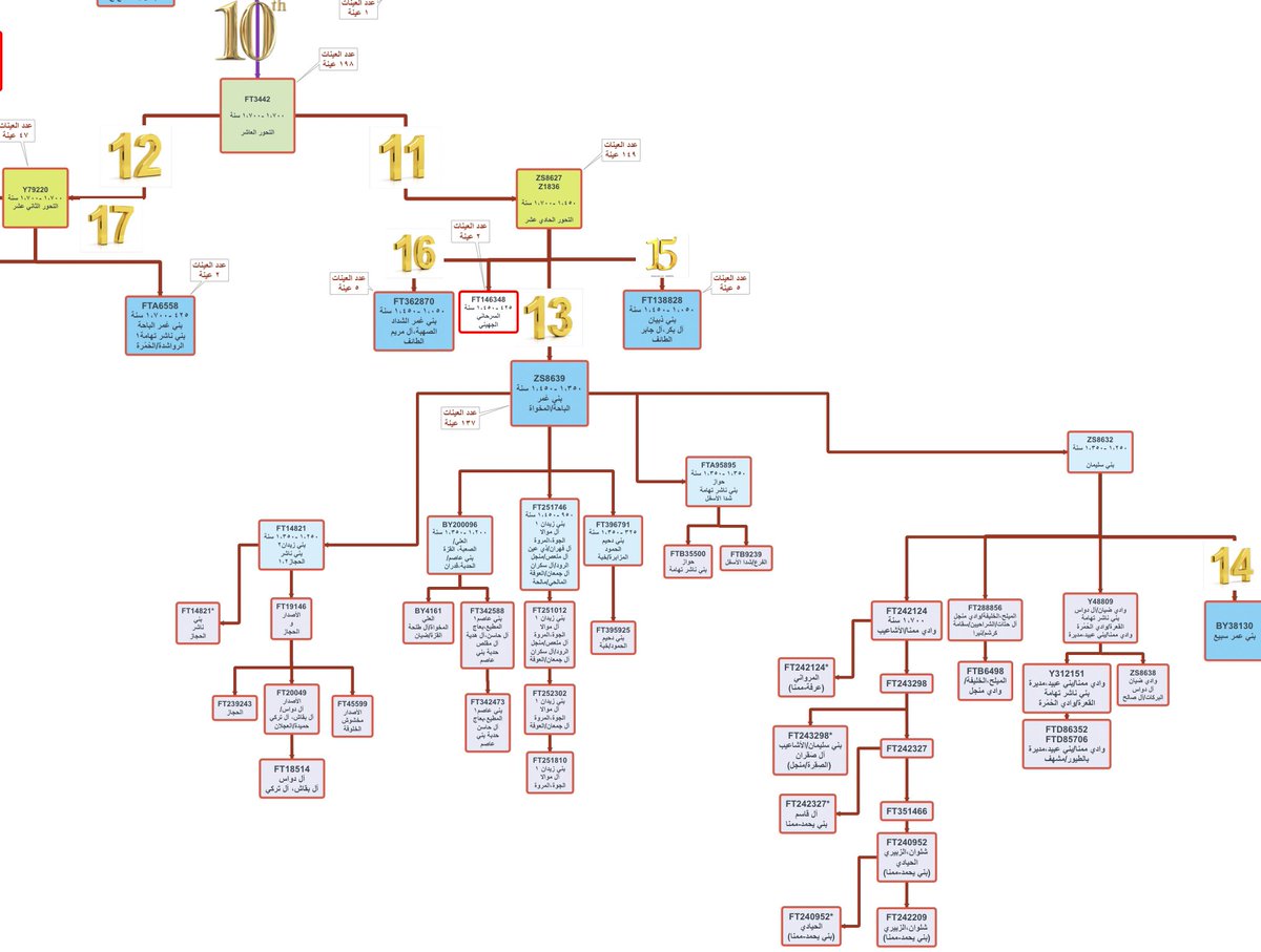 عبدالله البركات العُمري/Alomari tweet media