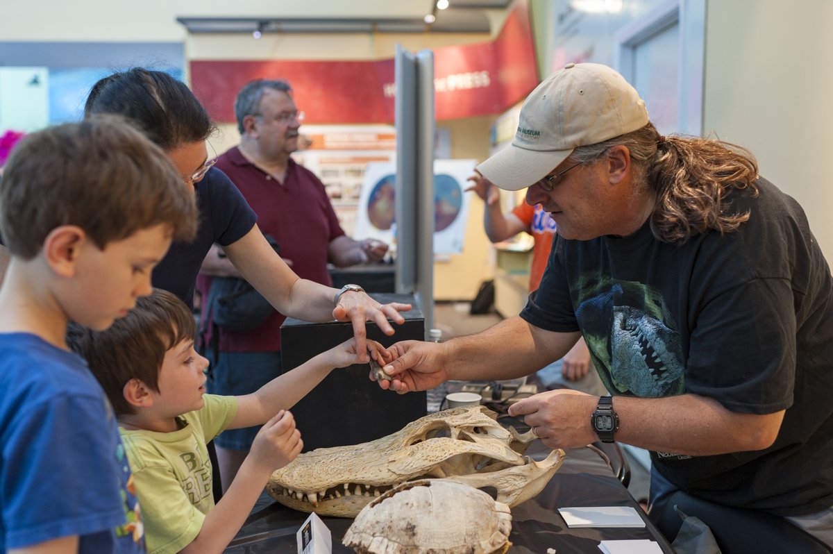 FloridaMuseum's tweet image. Come work with us! 📢 We're hiring an Assistant Curator of Vertebrate Paleontology

🔸 Position info: floridamuseum.ufl.edu/nhdept/assista…

🔸 Apply via @UF: explore.jobs.ufl.edu/en-us/job/5279…

🔸 About the collection: floridamuseum.ufl.edu/vertpaleo/