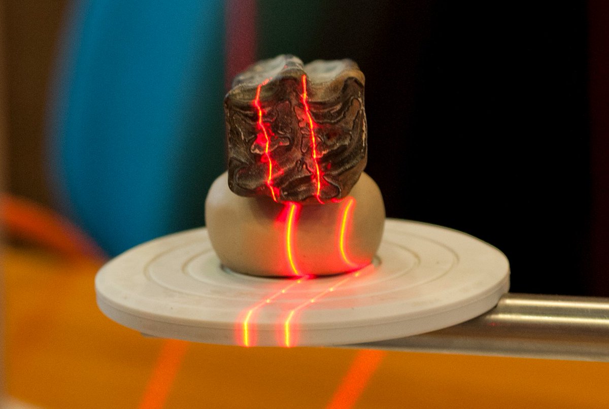 FloridaMuseum's tweet image. Come work with us! 📢 We're hiring an Assistant Curator of Vertebrate Paleontology

🔸 Position info: floridamuseum.ufl.edu/nhdept/assista…

🔸 Apply via @UF: explore.jobs.ufl.edu/en-us/job/5279…

🔸 About the collection: floridamuseum.ufl.edu/vertpaleo/