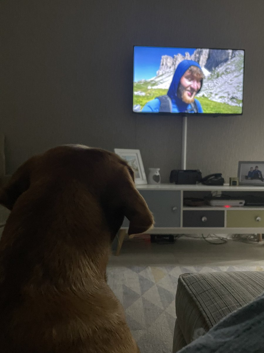 idontevenrun's tweet photo. Even the dog loves @Realliambrown’s films! https://t.co/u32XRUUdnS