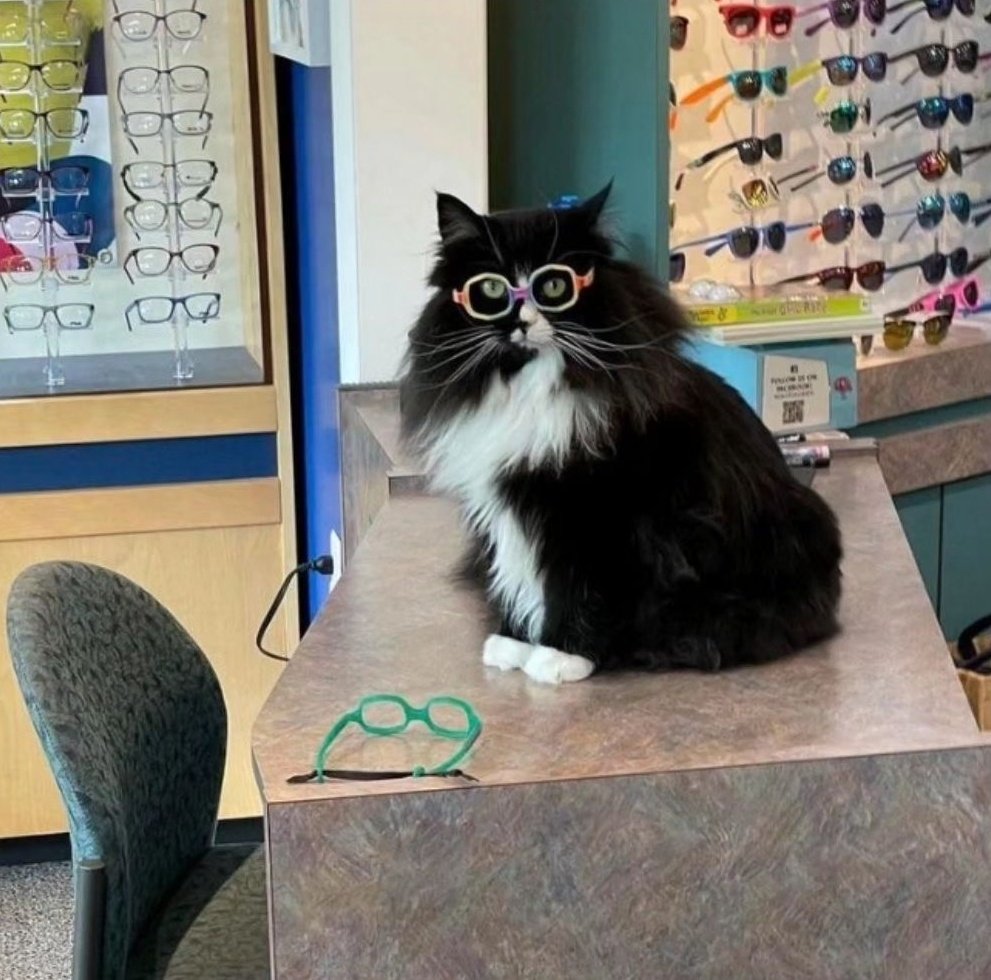 Sfigatto's tweet image. LUI LAVORA IN UN CENTRO OTTICO E AIUTA I BAMBINI A SENTIRSI A PROPRIO AGIO CON GLI OCCHIALI