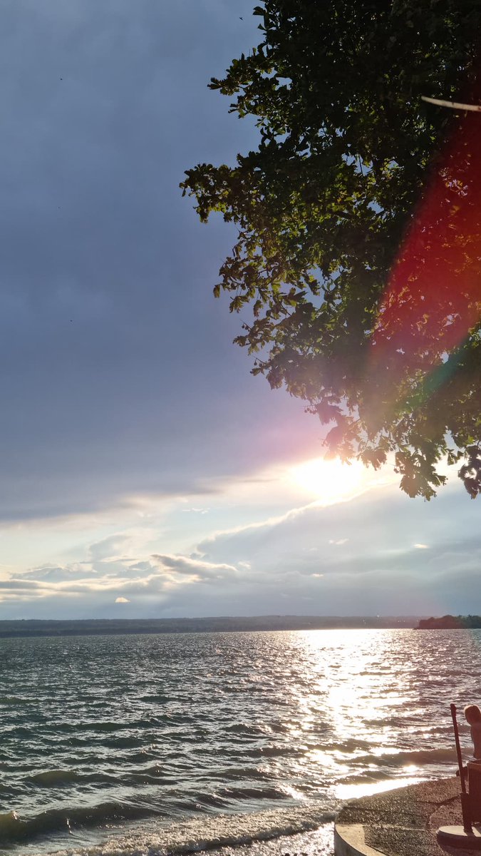 D___MF's tweet image. 