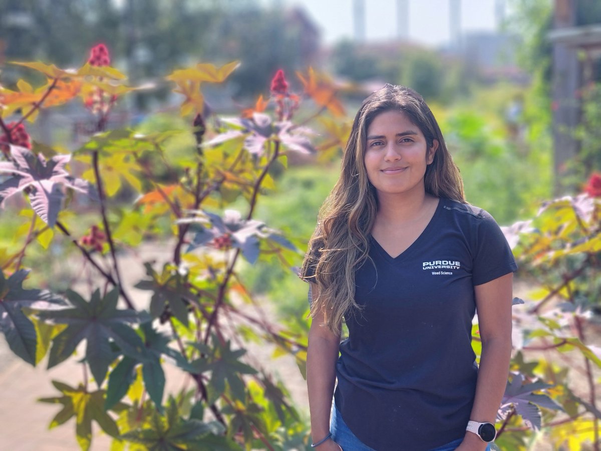 North Central Weed Science Society (@ncweedscience) on Twitter photo <a href="/JeanineArana13/">Jeanine Arana ☆</a> is a PhD student. Her <a href="/ISDAgov/">Indiana Dept of Ag</a>-funded <a href="/AgResearchPU/">Purdue Ag Research & Grad Education</a> dissertation focuses on weed management and strawberry runner management in multi-year plasticulture strawberry production systems in collaboration with <a href="/VeggieGuan/">Wenjing Guan</a>. <a href="/JeanineArana13/">Jeanine Arana ☆</a> is a PhD student. Her <a href="/ISDAgov/">Indiana Dept of Ag</a>-funded <a href="/AgResearchPU/">Purdue Ag Research & Grad Education</a> dissertation focuses on weed management and strawberry runner management in multi-year plasticulture strawberry production systems in collaboration with <a href="/VeggieGuan/">Wenjing Guan</a>.