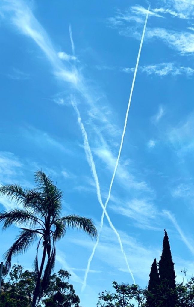 Not Elon Musk tweet media