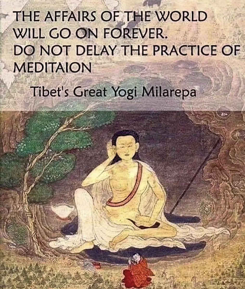 Kush Sareen #SaveSoil tweet media