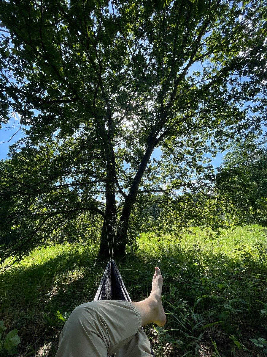 Pavel Panioukin tweet media