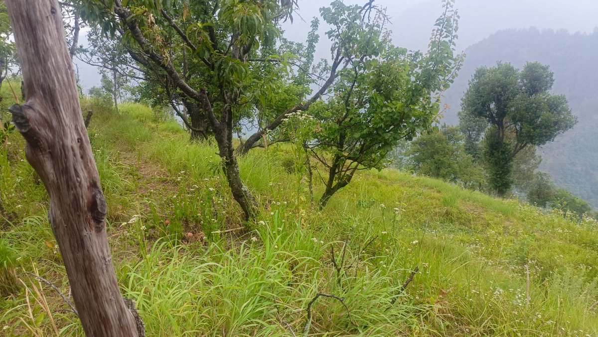 Ahtisham Ahmed (@ahtishamwebmast) on Twitter photo 