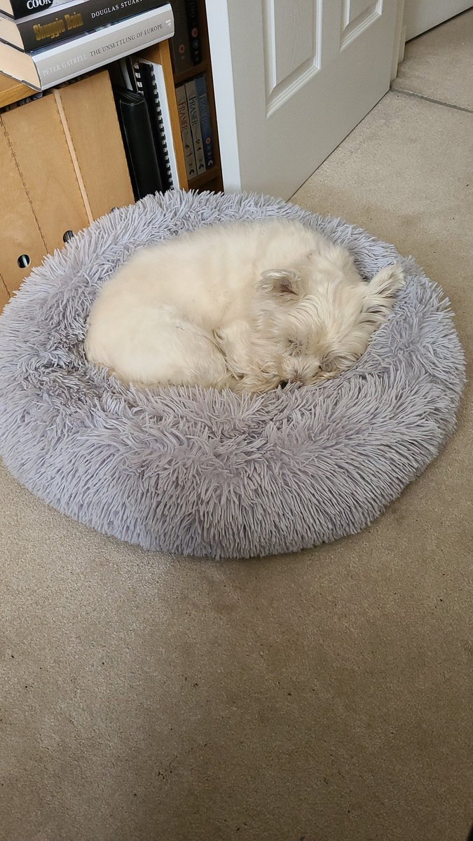 William Kilbride tweet media