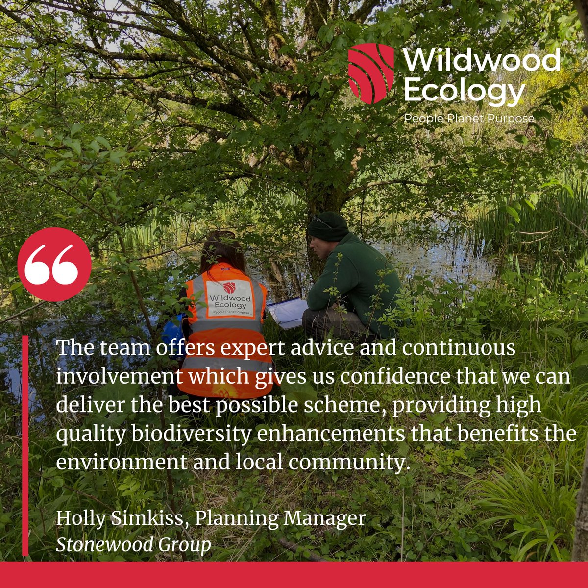 Wildwood Ecology (@wildwoodecology) on Twitter photo Helping deliver a project from the beginning through to completion, and seeing the benefits to nature realised, is just fantastic! <a href="/GroupStonewood/">Stonewood Group</a>
#nature #biodiversity #development Helping deliver a project from the beginning through to completion, and seeing the benefits to nature realised, is just fantastic! <a href="/GroupStonewood/">Stonewood Group</a>
#nature #biodiversity #development