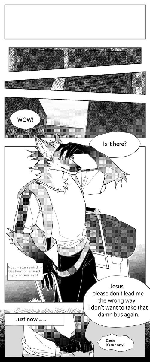 Stray Dog tweet media