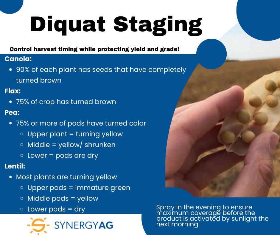 Some tips for Diquat Staging! 
#rootsyoucancounton